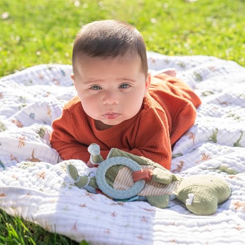 Aden + Anais Essentials Dream Blanket, Muslin Baby Blanket for Girls & Boys